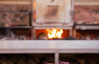 wecamp Reserva Alecrim - Foto 74