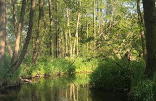 Appartment am Königsberg, Lössau - Foto 22