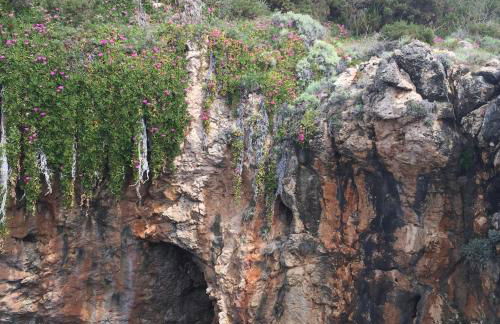 I Giardini Di Margius - Foto 71