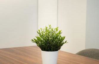 Ribera Old Town Bilbao - Foto 23