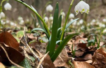 Ferienwohnung zum Sepp - Foto 27