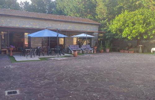 Country House Il Vecchio Frantoio - Foto 5