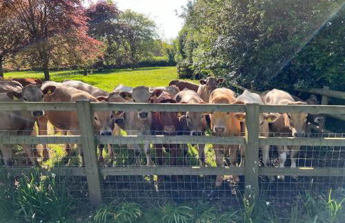 Mayfield Lodge, Paxford, Chipping Campden GL55 6XU - Photo 32