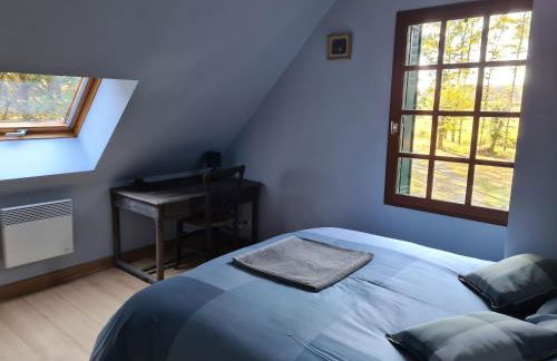 Domaine des Aulnaies - Beauval - Mareuil sur Cher - Foto 46