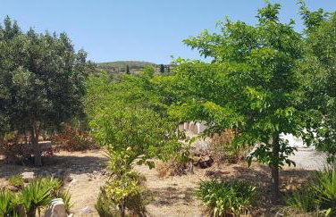 LOURANTIANIKA HOUSE - Foto 26