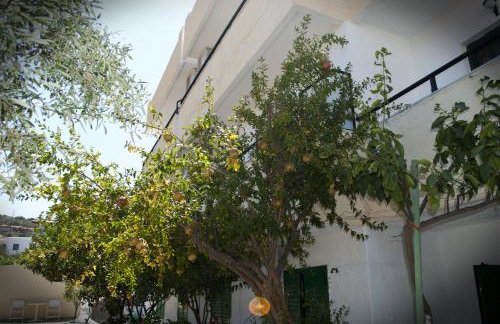 Prinos Apartments - Foto 15