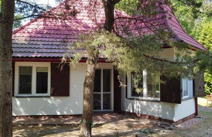 Pluski 10 osobowy Dom PROJEKT PLUSKI nad Jeziorem Pluszne - Foto 8