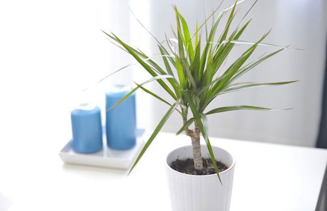 Villa Oliver 1 Siófok - Photo 12