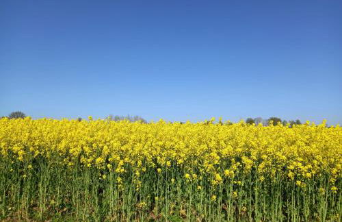 2-Zimmer Wohnung in Gelting an der Ostsee - Foto 22