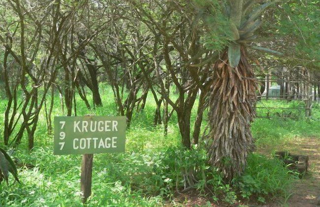 Kruger Cottage - Foto 24