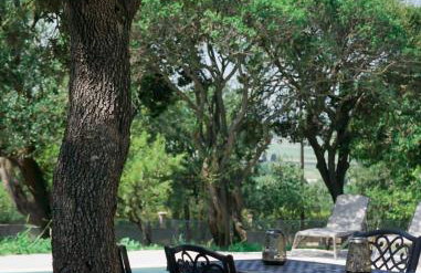 Villa Krstina - Foto 23