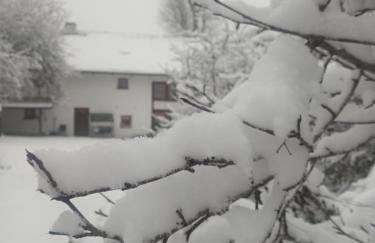 Smocza Chata - Foto 1