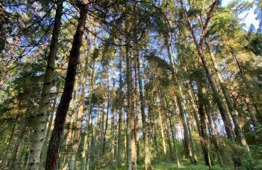 Corner House Plesna - Foto 25