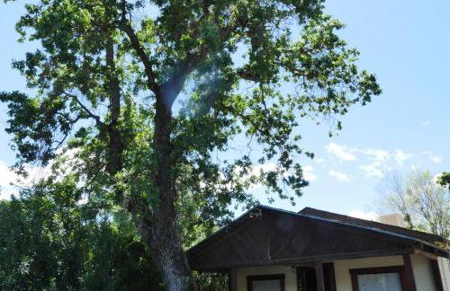 Bungalow on the lake - Foto 6