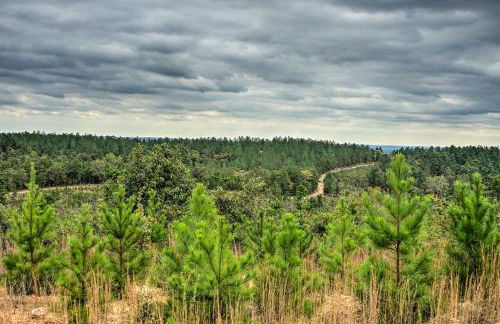 Wright City Cabin with Fire Pit and Forest Views! - Foto 27