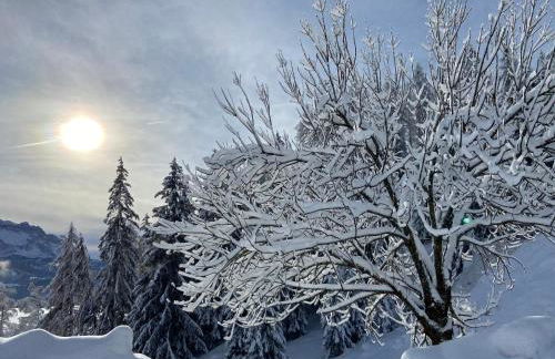 Agriturism Gscnara - Foto 37