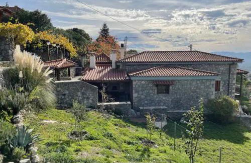 Terra Petra Villa at Psari Trikolonon Gortynia - Photo 48