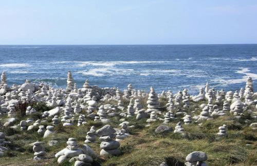 Résidence G104-ile Grande - Les Dunes maison avec jardin clos à Ile Grande MAE-3434 - Foto 11