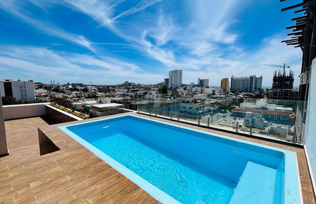 Flamingos - Photo 10