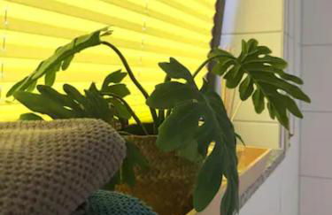 Gemütliches Appartement mit eigener Terrasse - Foto 18