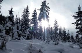 Appartments Hopfgartner Eurospar - Photo 50