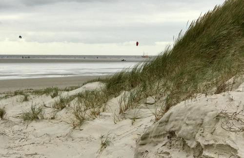 Ferienwohnung Suederbootfahrt - Ruheoase für Naturliebhaber in Katingsiel zwischen Tönning und St Peter Ording perfekt für Radtouren - Foto 20