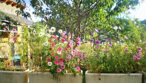 La Casa De Luis - Foto 4