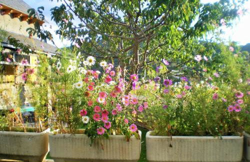 La Casa De Luis - Foto 8