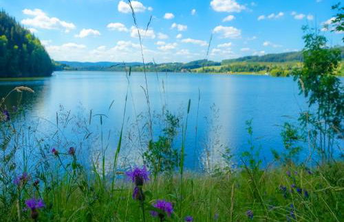 Relaxing Escape with Terrace - Foto 16