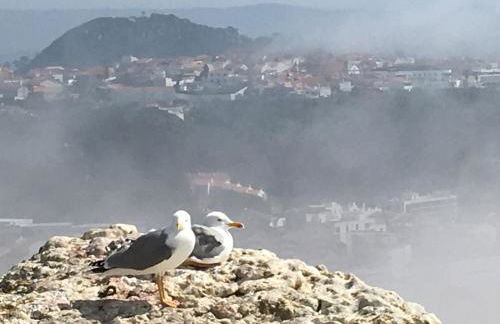 Sitio Ocean Views - Foto 9