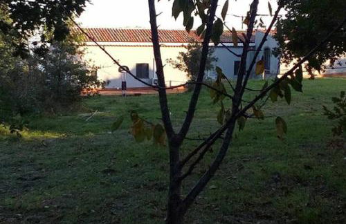 Etna 1928 Country House - Foto 31