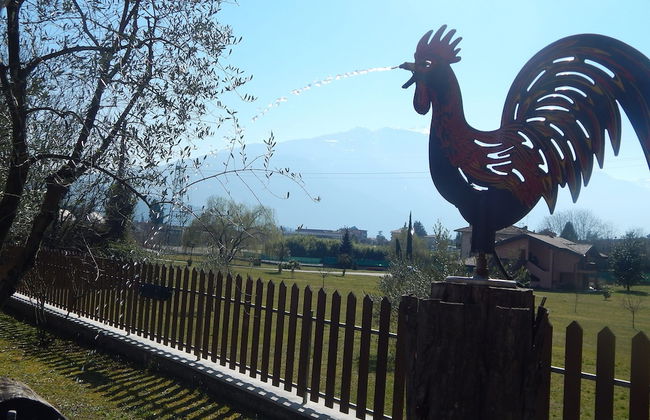 Agriturismo Girardelli - Foto 50