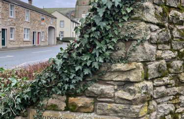 Daffodil Cottage - Foto 1