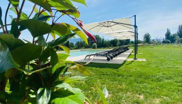 Agriturismo Borgo delle Rose - Photo 5, Garden