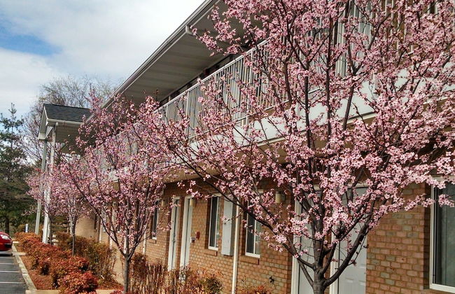 Affordable Corporate Suites Christiansburg - Foto 63