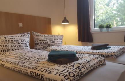 Ferienhäuser im Ferienhausgebiet Hof Beel - Foto 11