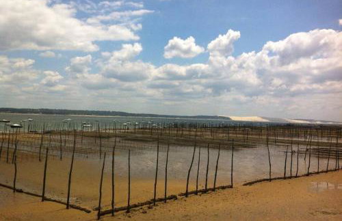 La cabane de Carol au coeur du bassin d'Arcachon - Foto 36