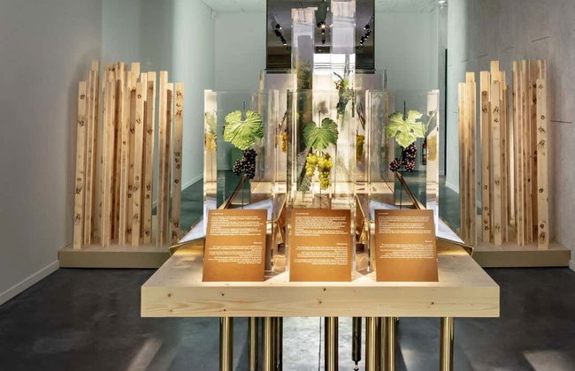 Entrada al museo enológico Pressoria + Cata de champán - Foto 8