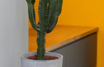 Industrial Pet-Friendly Apartment with Movie Projector by Noclegi Renters - Foto 17