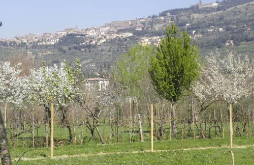 Villa San marco - Foto 30