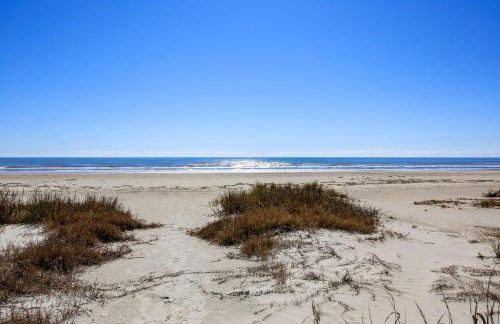 Barefoot Pelican - Foto 34