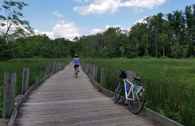 Alexandria Bike Rentals - Photo 1