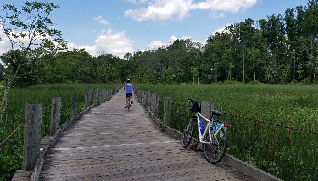 Alexandria Bike Rentals - Foto 1