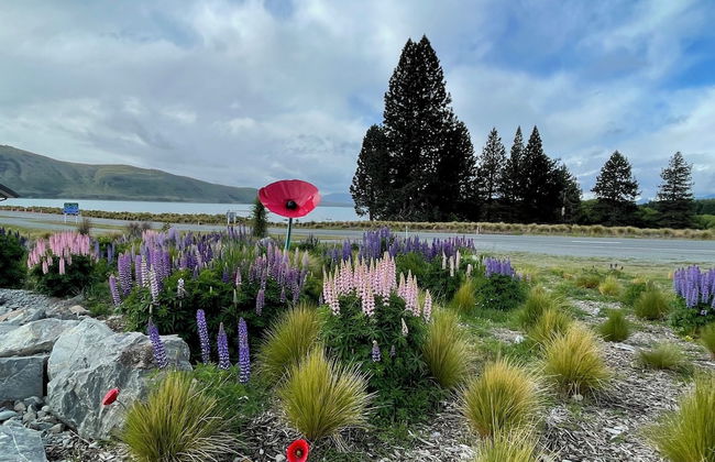 Alice Garden - Foto 11