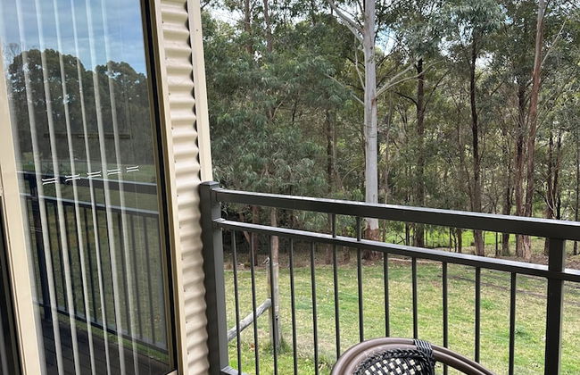 Blueberry Hills on Comleroy - Photo 28