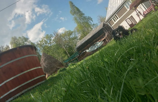 Room in Guest Room - Cozy Rural Retreat in Roşia Montana - Photo 70