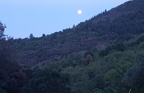 El Solei Paraiso en el Montseny - Foto 24