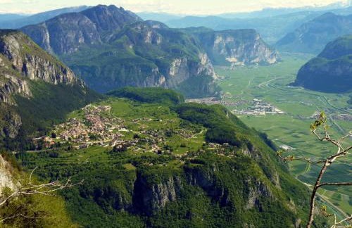 La Villa Dei Fiori - Photo 68