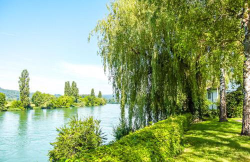 Löwe Apartment Grün Küssaberg am Rhein - Foto 25