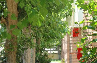 Nancy - Chara Apartments - Foto 47